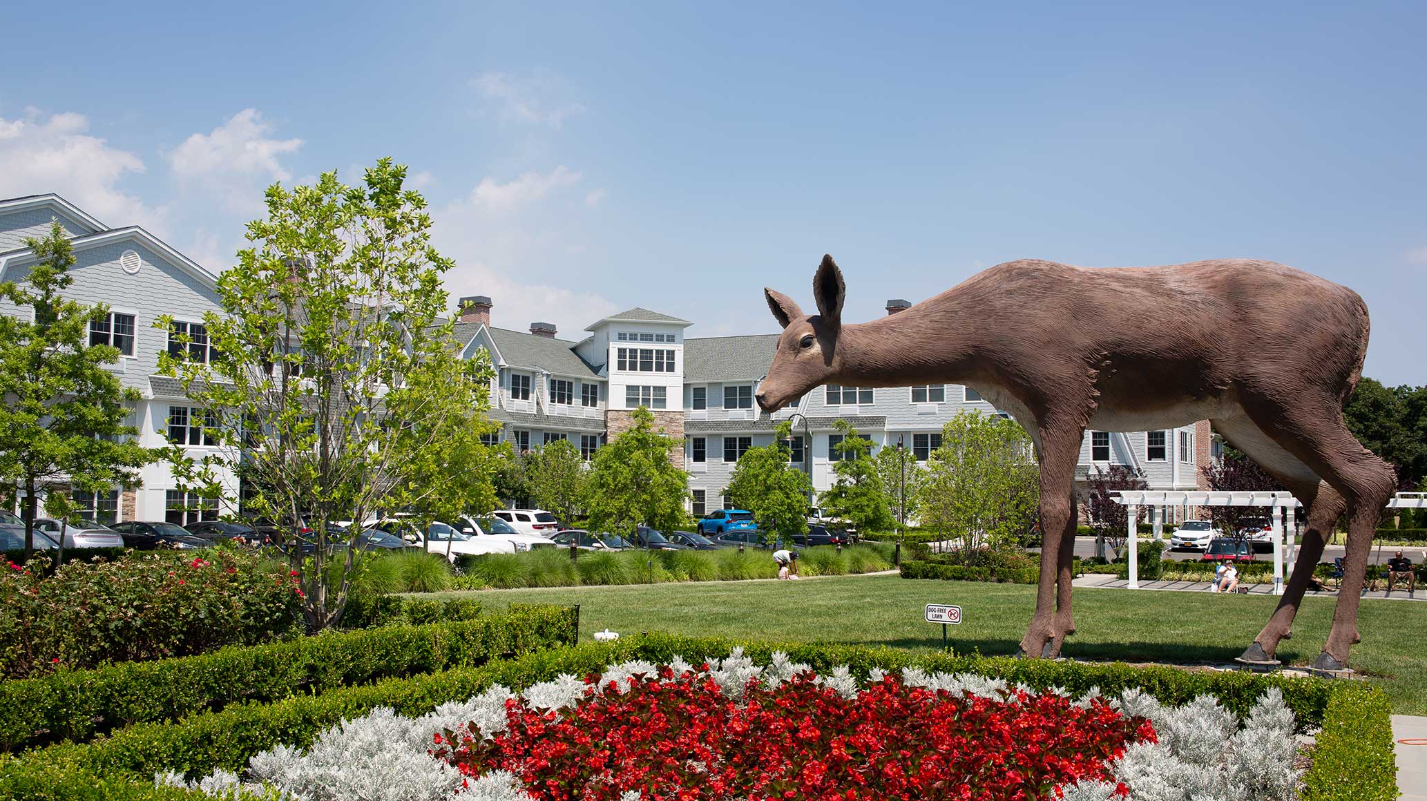 Oh Deer! Community Fawning Over the New Greybarn Apartment Centerpiece